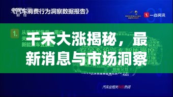 千禾大漲揭秘，最新消息與市場洞察深度解讀