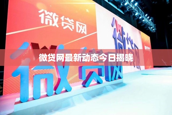 微貸網最新動態今日揭曉