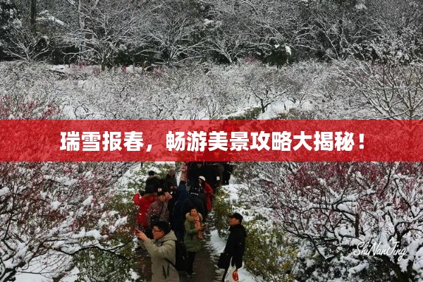 瑞雪報春,暢游美景攻略大揭秘!
