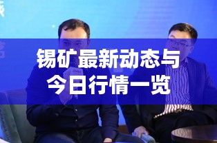 錫礦最新動態與今日行情一覽