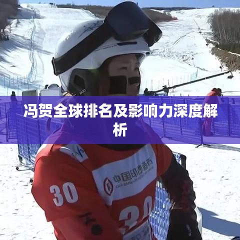 馮賀全球排名及影響力深度解析