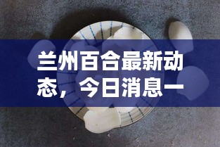 蘭州百合最新動態,今日消息一網打盡!