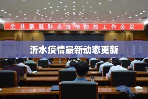 沂水疫情最新動態更新