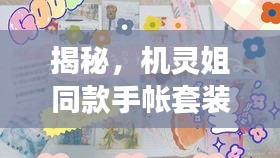 揭秘，機靈姐同款手帳套裝最新版獨家爆料
