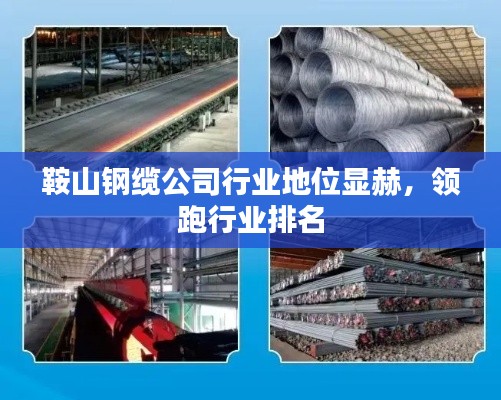 鞍山鋼纜公司行業地位顯赫,領跑行業排名