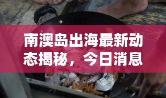 南澳島出海最新動態揭秘，今日消息一網打盡！
