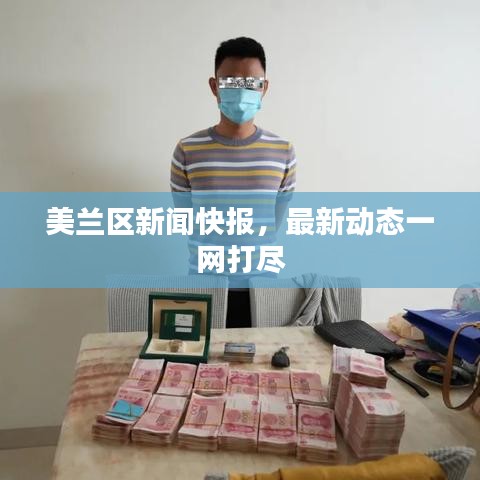 美蘭區新聞快報,最新動態一網打盡