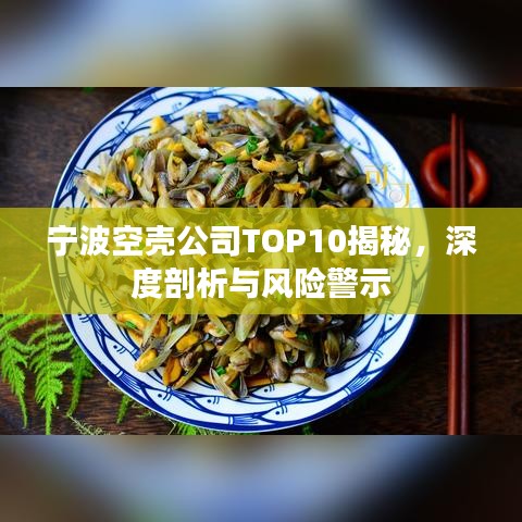 寧波空殼公司TOP10揭秘,深度剖析與風險警示