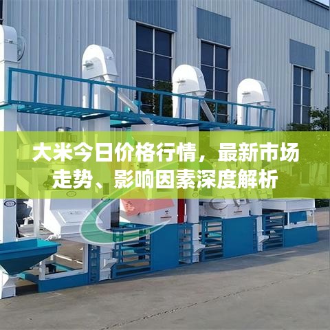 大米今日價格行情,最新市場走勢、影響因素深度解析
