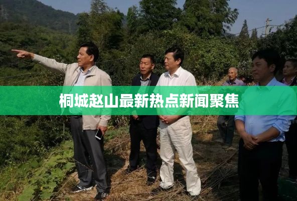 桐城趙山最新熱點(diǎn)新聞聚焦