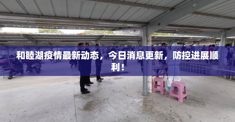 和睦湖疫情最新動態,今日消息更新,防控進展順利!