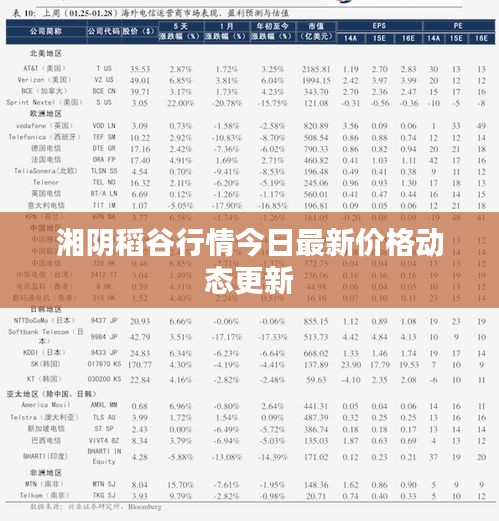 湘陰稻谷行情今日最新價格動態更新