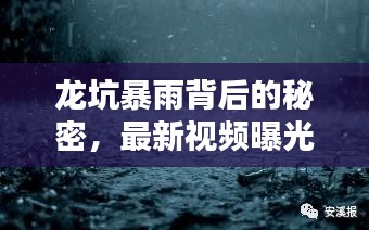 龍坑暴雨背后的秘密,最新視頻曝光,揭示驚人真相!