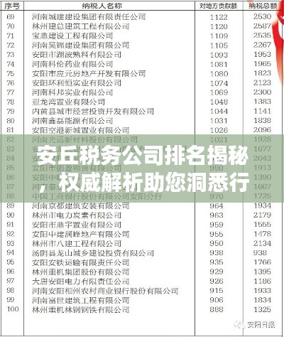 安丘稅務(wù)公司排名揭秘，權(quán)威解析助您洞悉行業(yè)格局