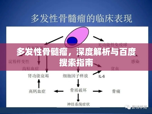 多發性骨髓瘤，深度解析與百度搜索指南
