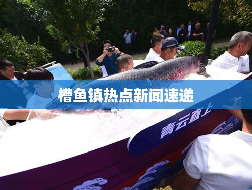 槽魚鎮熱點新聞速遞