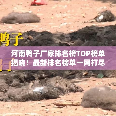 河南鴨子廠家排名榜TOP榜單揭曉！最新排名榜單一網打盡！