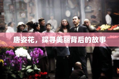 唐姿花,探尋美麗背后的故事