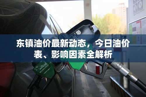 東鎮油價最新動態，今日油價表、影響因素全解析