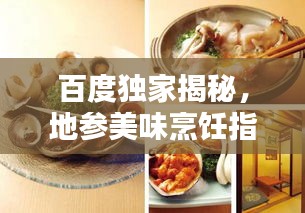 百度獨家揭秘,地參美味烹飪指南與技巧大全