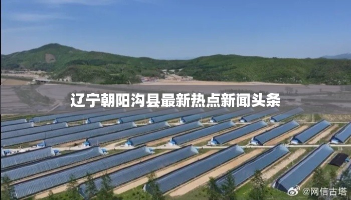 遼寧朝陽溝縣最新熱點新聞頭條