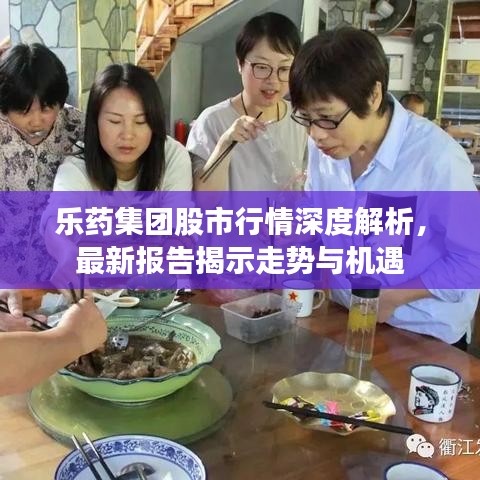 樂藥集團股市行情深度解析,最新報告揭示走勢與機遇
