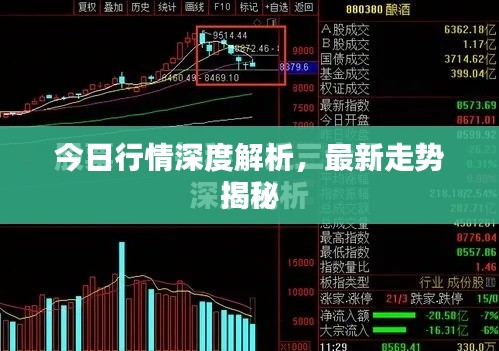 今日行情深度解析,最新走勢揭秘