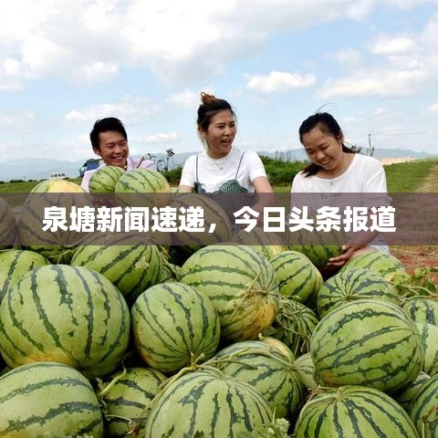 泉塘新聞速遞，今日頭條報道