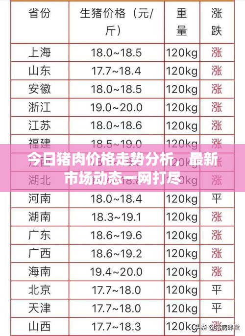 今日豬肉價格走勢分析，最新市場動態一網打盡