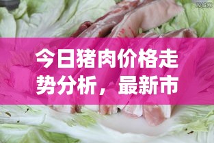 今日豬肉價格走勢分析,最新市場動態一網打盡