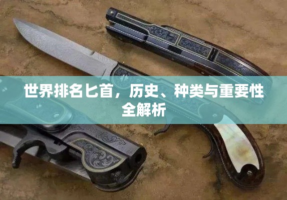 世界排名匕首，歷史、種類與重要性全解析