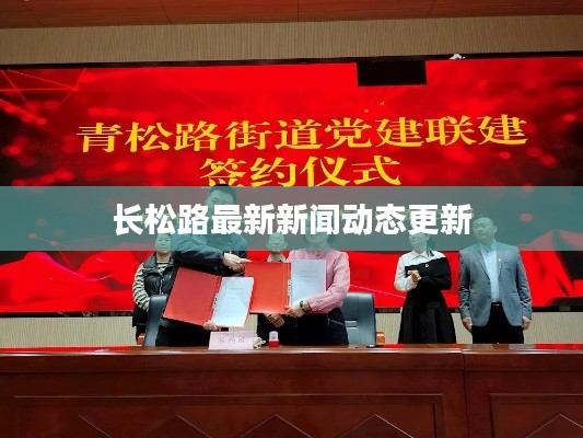 長松路最新新聞動態更新