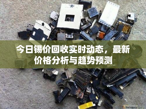 今日錫價回收實時動態,最新價格分析與趨勢預測