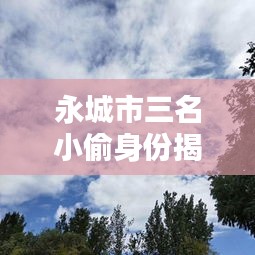 永城市三名小偷身份揭秘與最新動態報道