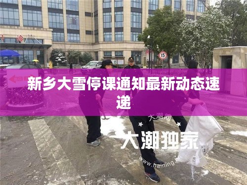 新鄉大雪停課通知最新動態速遞