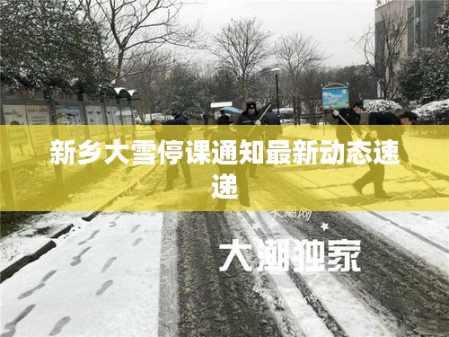 新鄉(xiāng)大雪停課通知最新動態(tài)速遞