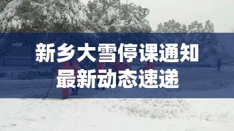 新鄉(xiāng)大雪停課通知最新動態(tài)速遞