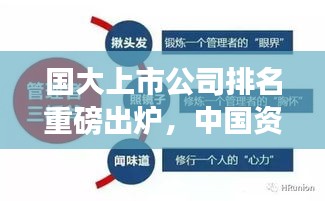 國大上市公司排名重磅出爐，中國資本市場龍頭企業全景解析