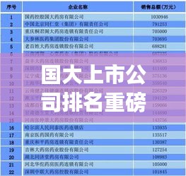 國大上市公司排名重磅出爐,中國資本市場龍頭企業全景解析