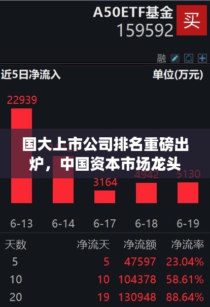 國大上市公司排名重磅出爐,中國資本市場龍頭企業全景解析
