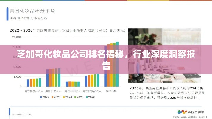 芝加哥化妝品公司排名揭秘,行業(yè)深度洞察報(bào)告