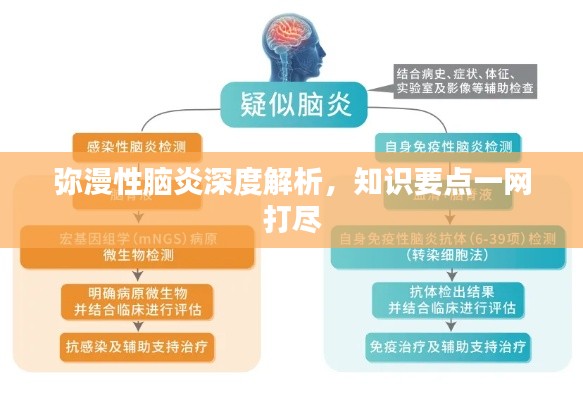 彌漫性腦炎深度解析，知識要點一網打盡