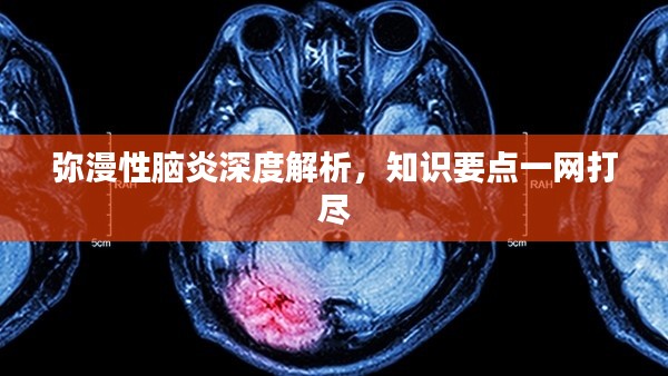 彌漫性腦炎深度解析,知識要點(diǎn)一網(wǎng)打盡