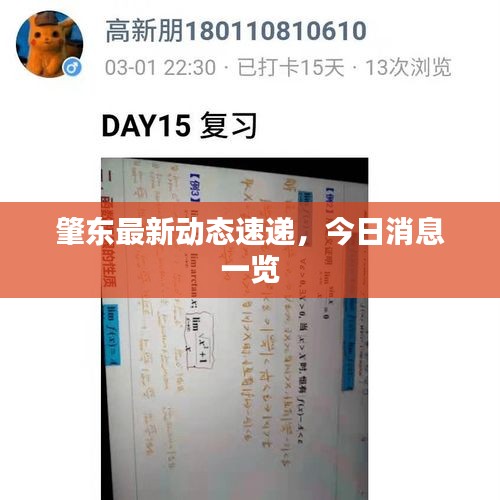 肇東最新動態速遞，今日消息一覽