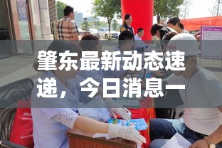 肇東最新動態(tài)速遞,今日消息一覽