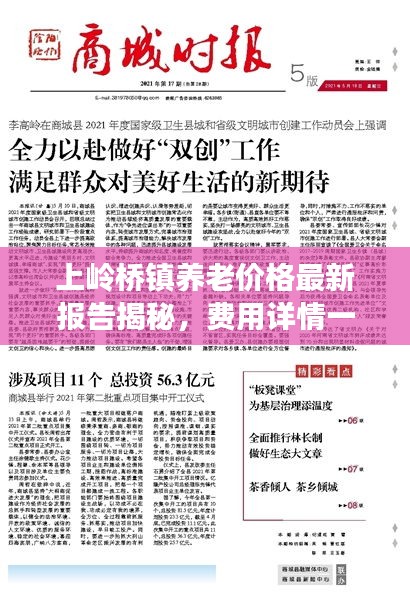 上嶺橋鎮(zhèn)養(yǎng)老價(jià)格最新報(bào)告揭秘，費(fèi)用詳情一網(wǎng)打盡