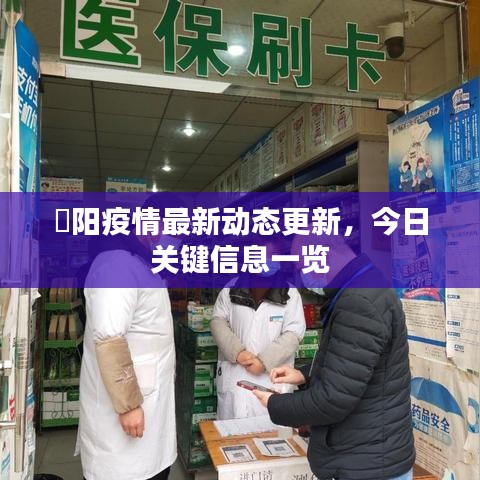 徳陽疫情最新動態(tài)更新，今日關(guān)鍵信息一覽