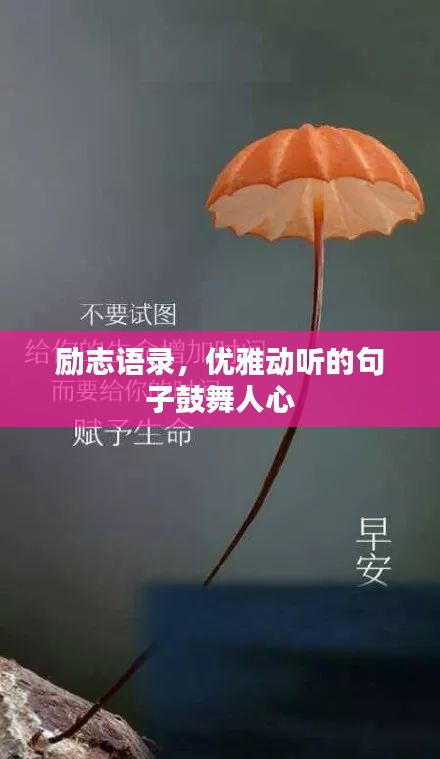 勵志語錄，優雅動聽的句子鼓舞人心