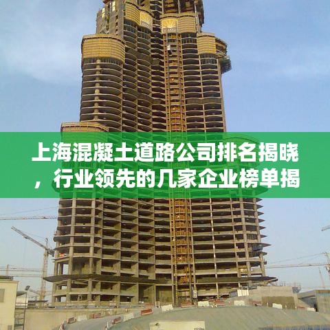 上?；炷恋缆饭九琶視裕袠I(yè)領先的幾家企業(yè)榜單揭曉！