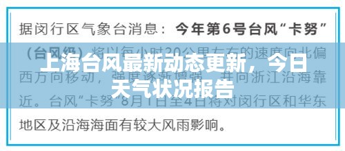 上海臺(tái)風(fēng)最新動(dòng)態(tài)更新,今日天氣狀況報(bào)告